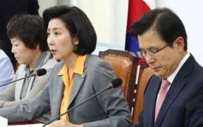 한국당, 헝가리 유람선 침몰사고로 靑 항의방문 연기