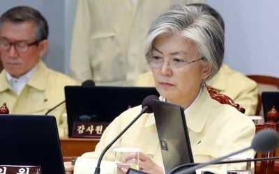 강경화 '유람선 사고' 현장지휘차 오늘 헝가리행