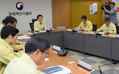 北 ASF 발생에 농식품부 긴급회의…"신속 예방대책 시행"