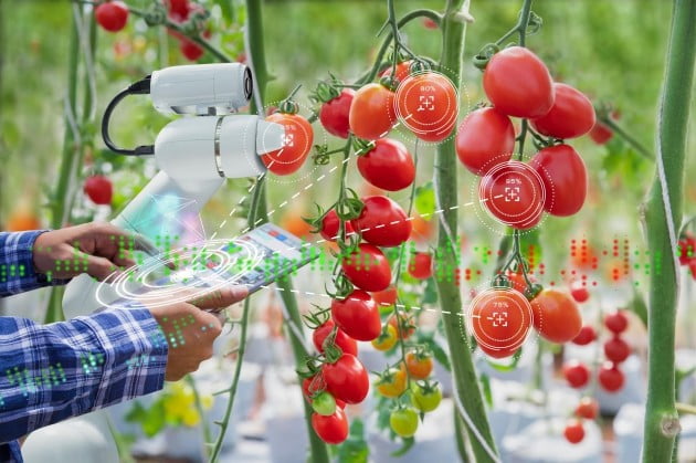 SAM GREEN AGRO HOUSE, 농업 생산을 위한 최적화된 스마트팜 서비스 실시