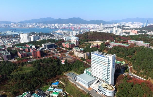 부산특구,부경대를 기술창업 생태계 거점으로 육성