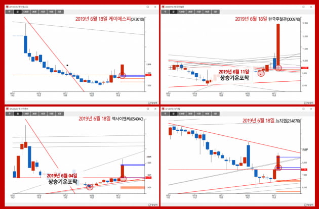 상한가잡아낸 박모씨 취재중 알게된사실 알파아이