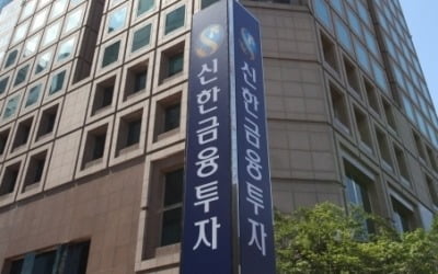 [금융지주 반기결산] 신한금융③ 비은행부문 잘 나가는데…갈 길 먼 '대체투자'