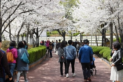 [오늘 날씨] 전국 맑고 미세먼지도 '보통'…"나들이하기 딱 좋아"