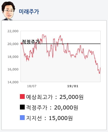 파라다이스(034230) 종목알파고 분석, 외국인/기관 실시간 수급과 추가 매수 확률은?