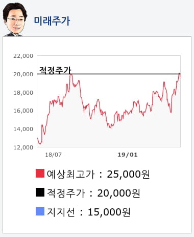 와이솔(122990) 종목알파고 분석, 외국인/기관 실시간 수급과 추가 매수 확률은?