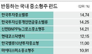 무너진 증시 뒤로…중소형·가치株 뛴다