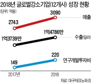 작년 12개社 매출 전년보다 13%↑, R&D 투자 47%↑…대구시 '글로벌 강소기업' 육성 결실