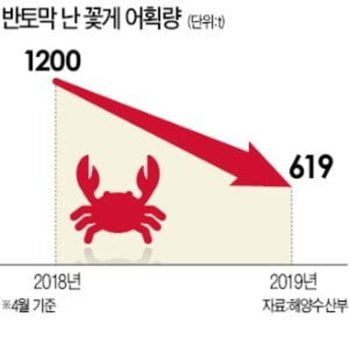 어획량 반토막…金게 된 꽃게 | 한국경제