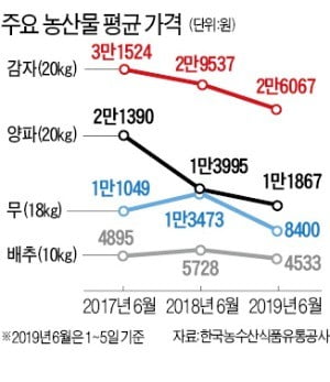 배추·양파·감자 등 채소값 급락