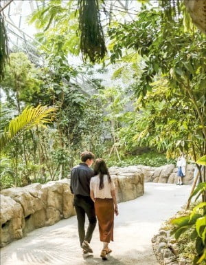 서울식물원 데이트코스 
