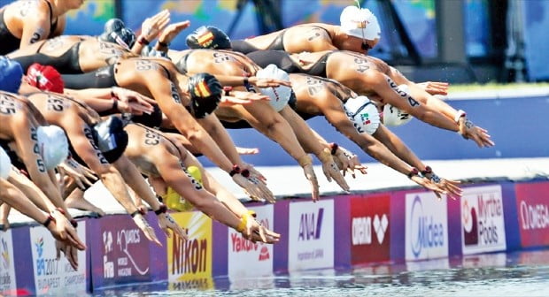 경영·다이빙·수구…6개 종목 도쿄 올림픽 전초전 '별들의 전쟁'