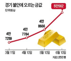 불안한 금융시장…사! 달러·金…안전자산에 돈 몰린다