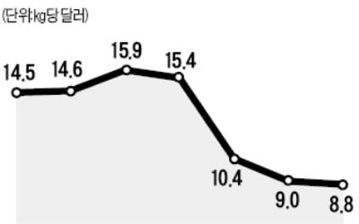 [마켓인사이트] 국내 태양광 산업 잔혹사…한국실리콘마저 파산 내몰려