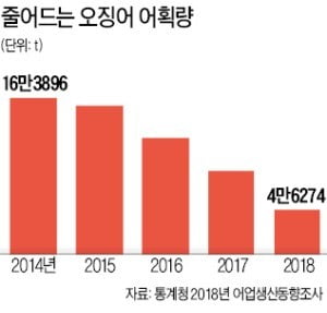 '金징어' 공수작전…지구 반대편까지 간다