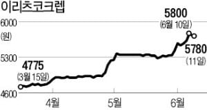 [마켓인사이트] 리츠株 잘나가는 이유 있었네