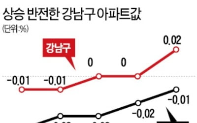 강남구 아파트값 8개월 만에 반등…은마·대치 등 재건축 '전고점 회복'