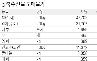 출하량 늘어나는 수박 가격, 지난달보다 29% 떨어져