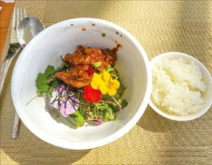해오름 농장의 ‘꽃 비빔밥’
 