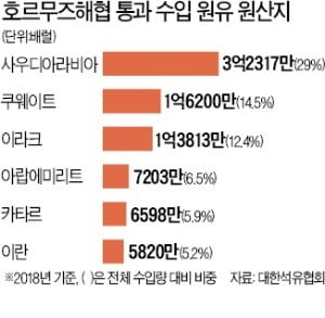 "국내 수입 원유의 70% 통과…봉쇄 땐 대책 없다"