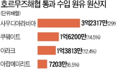 "국내 수입 원유의 70% 통과…봉쇄 땐 대책 없다"