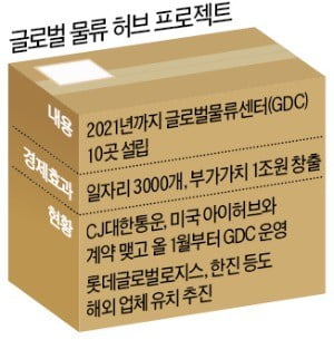 [단독] 해외직구 중계 '亞 물류허브 꿈'…과잉 검역규제에 '물거품' 위기