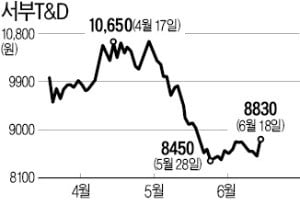 서부T&D·오텍·코웰패션…뜨거워지는 여름 수혜株