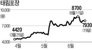 [마켓인사이트] 한솔제지·세아상역·中샤닝페이퍼 등 참여…태림포장 인수, 5파전 '압축'