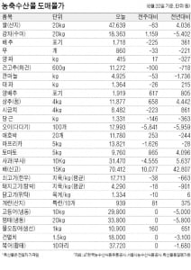  '여름 과일' 수박·참외 가격 하락…기상 여건 좋아 출하량 늘어