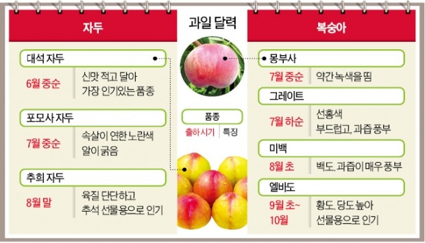 참외, 영어이름 '코리안 멜론'인 까닭