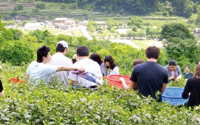 청정 매실 따다가 계곡물에 '풍덩'…섬진강 화개장터 풍광에 취하고