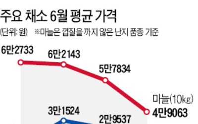 따뜻한 겨울이 만든 '슬픈 풍년'…채소값 '뚝뚝'