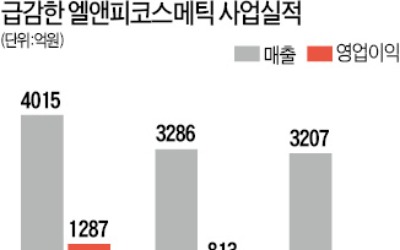 실적부진에 발목잡힌 메디힐 IPO