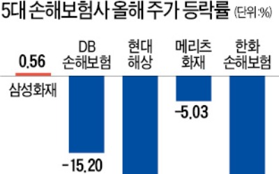 손해보험株 추락…출혈 경쟁에 바닥 안보인다