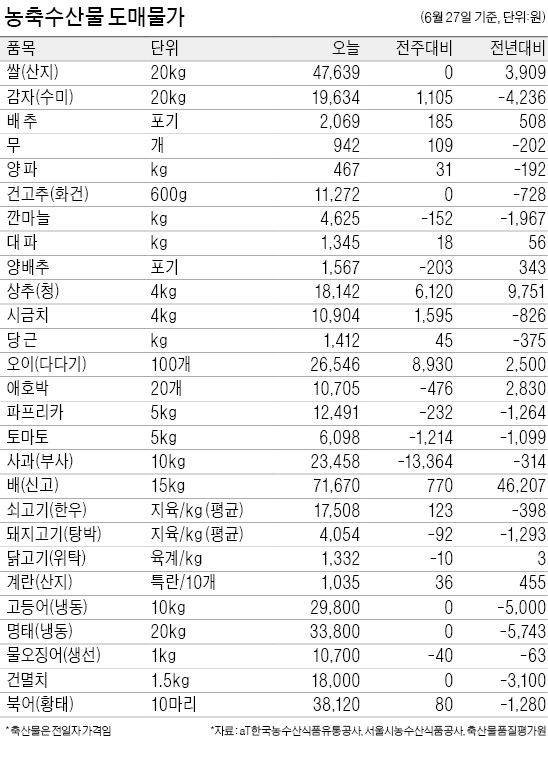 [농수산물 시세] 오이·상추 가격 급등…더운 날씨에 출하량 줄어