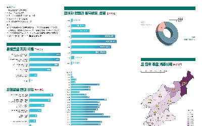 대북인권단체, 北 '공개처형·암매장 지도' 만들어