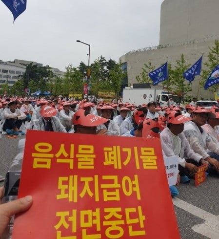 전국 돼지 농부 2000명, 환경부서 '잔반돼지 금지' 시위 왜?