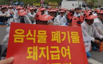 전국 돼지 농부 2000명, 환경부서 '잔반돼지 금지' 시위 왜?