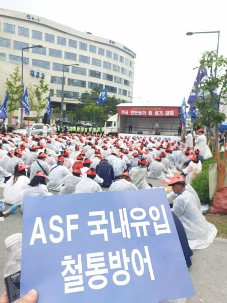 전국 돼지 농부 2000명, 환경부서 '잔반돼지 금지' 시위 왜?