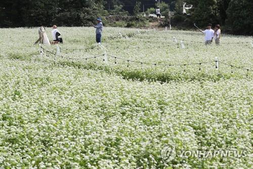 이른 무더위 '좋아'…해수욕장·축제장마다 행락객 북적