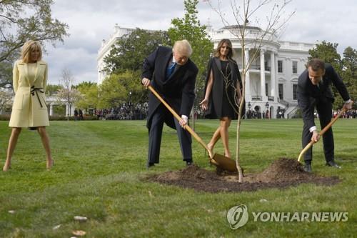 "마크롱이 트럼프에 선물한 '우정의 떡갈나무' 죽었다"