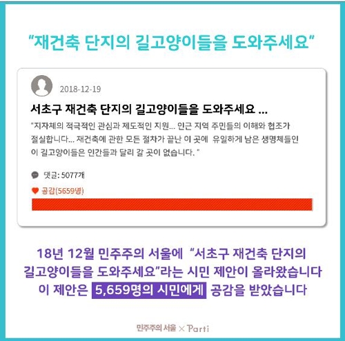 철거 앞둔 아파트에 남은 길고양이…이주 대책 실현될까