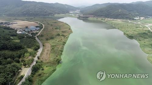 수자원공사 녹조 전담반 구성…"신속 대응·협력체계 구축"