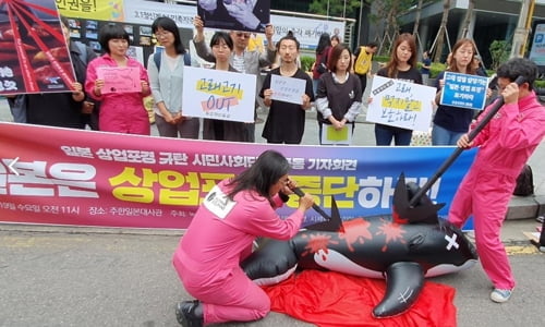 환경단체 "일본, 고래잡이 중단하라…한해 300여마리 포획"