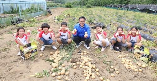 [#꿀잼여행] 충청권: 땅속 보물을 찾아라…서산·당진·괴산 웰빙 감자축제