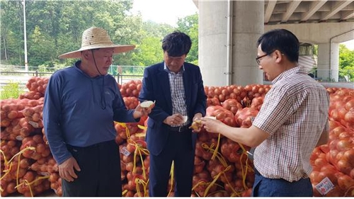 울산 울주 양파 첫 수출…동남아에 600t