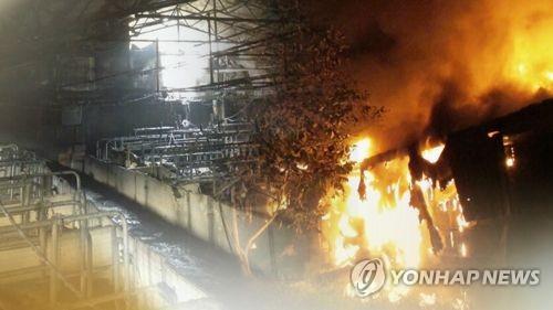 군위 돈사서 화재…돼지 수백마리 피해