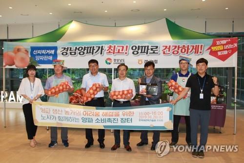 ''양주'마시고, 수출하고'…경남서 양파 소비 팔 걷었다