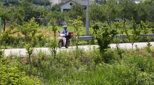 오지마을부터 도심 샛길까지 쉼없이 돌아야…고된 집배원들 하루