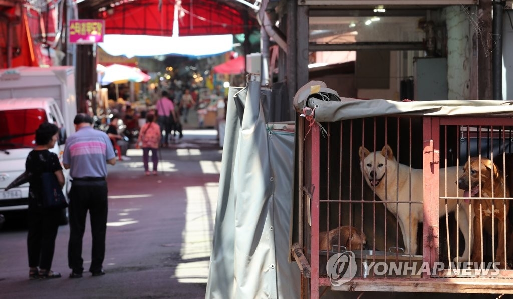 `동물 학대 논란` 부산 구포 가축시장 최종 폐업…`반려동물 친화 공간`으로